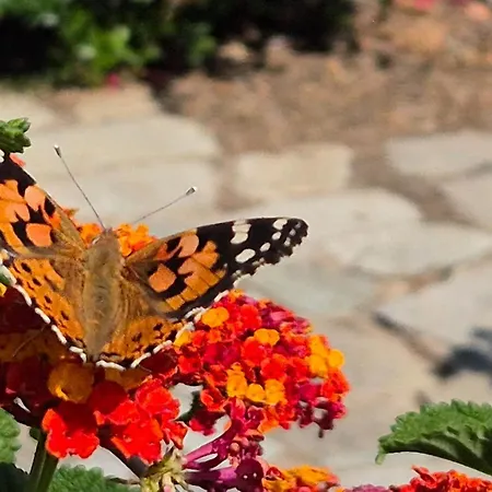Angela, Panoramablick Uebers *