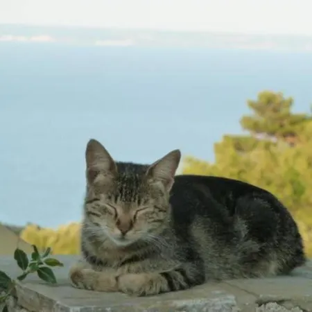 Angela, Panoramablick übers Сasa de vacaciones *